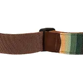 Fender 992132544 Sonoran band, 2, saguaro