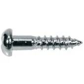 Boston WS-02-C Domekop Schroeven 2,1x10mm - 12 Stuks Chrome