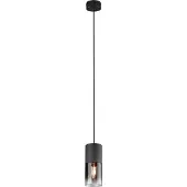 TRIO 310600132 Hanglamp Robin Zwart