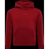 Puma Junior Hoodie Ess Small No.1 Logo | Maat 12 ans
