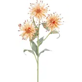 Easyplants | Kunstbloem Scabiosa Japonica 70 cm perzik | Zijde | Nepbloemen | perzik | Onderhoudsvrij | Kant-en-klaar