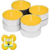 WDMT Geurtheelichten Citronella 8 stuks - Anti-mug theelicht