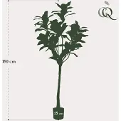 Everspring Kunstplant - Magnolia Grandiflora - Abelia - 150 cm
