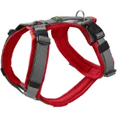 Hunter halsband, Maldon, kleur: donkerrood/grijs, maat: XS-S / breedte: 2,0 cm