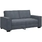 vidaXL Tweezitsbank 180x78x84 cm fluweel donkergrijs