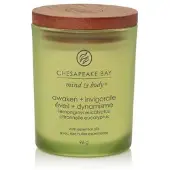 Chesapeake Bay Candle – Ontwaken en stimuleren – Klein 96 g