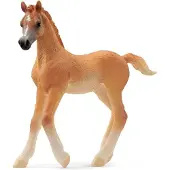Schleich Horse Club - 13984 Arabisch veulen