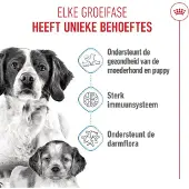Royal Canin - Hondenvoer Droog Mother & Baby Medium Starter - 1 kg
