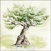 Ambiente Lunch Servetten Olive tree - - 33x33 cm