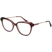 Ana Hickmann Brilframe AH6506 G22 54