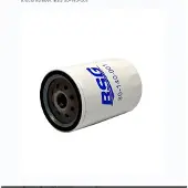 BSG 30-140-001 Oliefilter