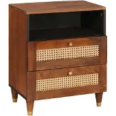 vidaXL Nachttafels 50 x 33 x 62 cm Massief Mango Hout