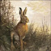 Ambiente Lunch Servetten Portrait Of Hare