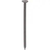 Deltafix Muur-spijkers. 2.5 x 60mm. lang. Beton-spijkers. Stalen-nagels. zwart. 100 stuks. .