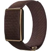 Polar Loop Bruin