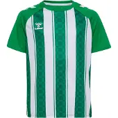 Hummel Functioneel shirt groen / wit