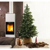 Everlands Geneva Fir 240 cm