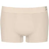 Sloggi Boxershorts beige / zwart