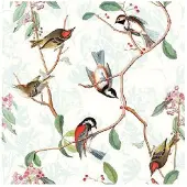 Ambiente Servetten Birdsong