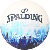 Spalding Ascend Basketbal