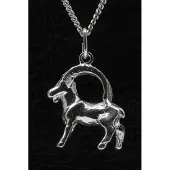 MOOYE ® - Collectie Zilveren Sterrenbeeld Steenbok ketting hanger - groot