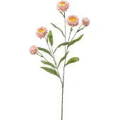 Hortus Kunst xerochrysum spray pink, 70 cm