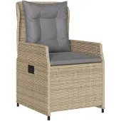 vidaXL 9-delige Tuinset met kussens poly rattan beige