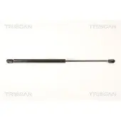 TRISCAN 8710 24237 Gasveer achterklep