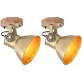 vidaXL Wand-/plafondlampen industrieel 2 st E27 20x25 cm messingkleur