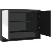 vidaXL Spiegelkast voor de badkamer, 80x15x60 cm, glanzend zwart
