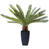 Kare design Kunstplanten Cycas 78cm