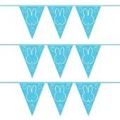 Nijntje Set van 3x stuks blauwe thema geboorte vlaggenlijnen van 6