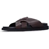 Manfield Muiltjes bruin