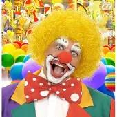 Widmann Pruik, Clown Geel