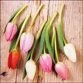 Ambiente Lunch Servetten Tulips On Wood - - 33x33 cm