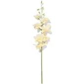 HEMA Kunstbloem Dendrobium 55cm Rubber Wit (wit)