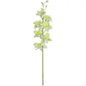 HEMA Kunstbloem Dendrobium 55cm Rubber Groen (groen)