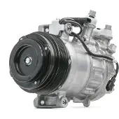 RIDEX 447K0455 Aircopomp