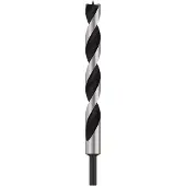 Bosch Powertools 2608597194 Hout-spiraalboor 20 mm Gezamenlijke lengte 250 mm Cilinderschacht 1 stuk(s)