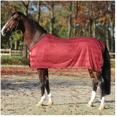 Kavalkade Paardenvliegendeken Stripe