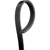 Gates 4PK798SF Multiriem