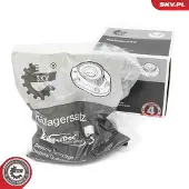 ESEN SKV 29SKV565 Wiellagerset