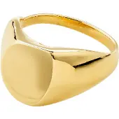 Pilgrim Ring 'Presence' goud