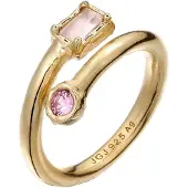 Haze&Glory Ring 'Luna Rose' goud