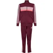 Adidas Trainingspak 'Seasonal Essentials Tiberio' oudroze / neonroze / bordeaux