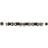 AE CAM917 Nokkenas