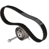 INA Distributieriemset 530048110 Ina voor o.a. AUDI, VOLKSWAGEN