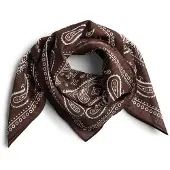 Pieces Pcjolanda Sjaal Dames Bruin ONE SIZE