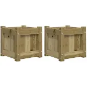 vidaXL Plantenbakken 2 st cm geïmpregneerd hout
