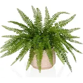 Hjh OFFICE Kunstplant / potplant PROLIFERUM varen 35 cm kunststof groen